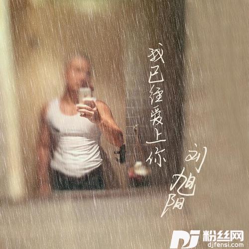 我已经爱上你正式版的专辑