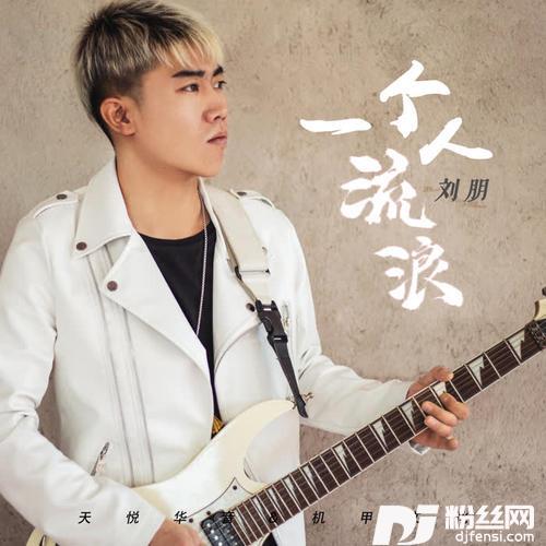 一个人流浪的专辑