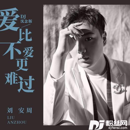 爱比不爱更难过DJ沈念版