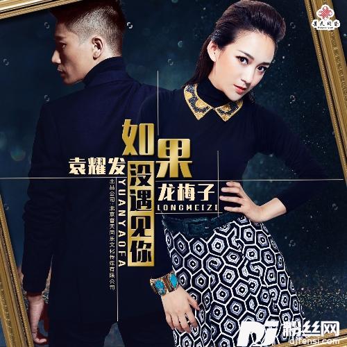 如果没遇见你的专辑