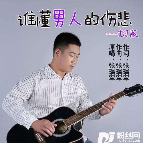 谁懂男人的伤悲DJ版