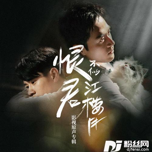 叹息的专辑