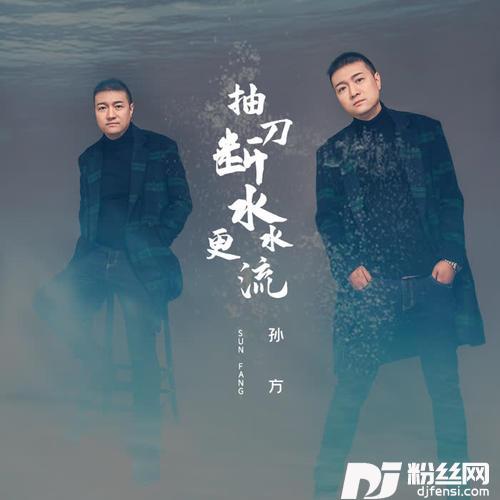 抽刀断水水更流DJ枫叶版的专辑