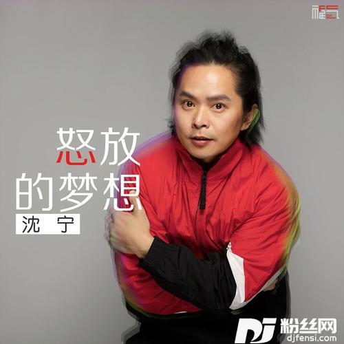 怒放的梦想
