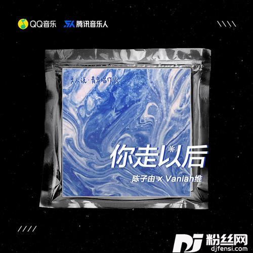你走以后