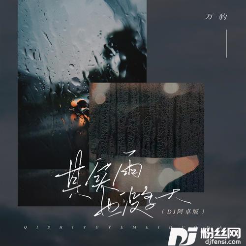 其实雨也没多大DJ阿卓版