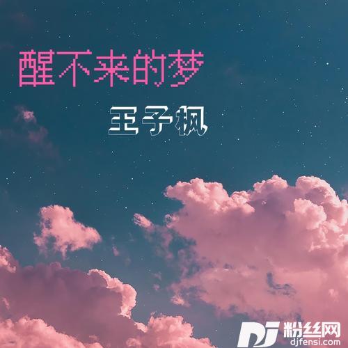 醒不来的梦DJ版