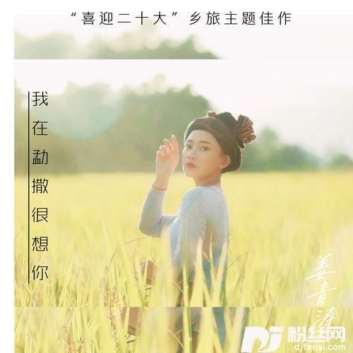 我在勐撒很想你