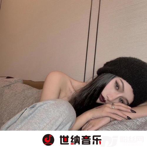 大风车DJ热播版