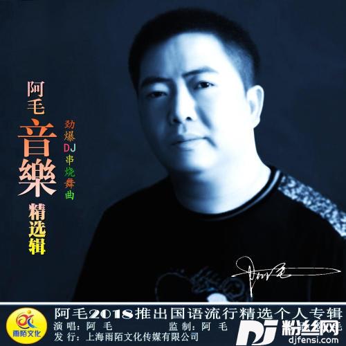 爱一次不够+爱情的傻瓜+雨泪Remix