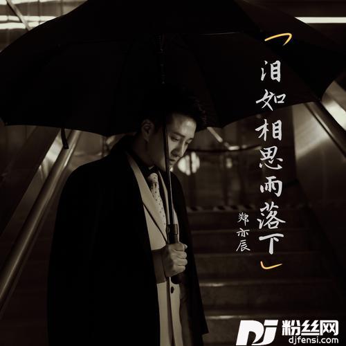泪如相思雨落下