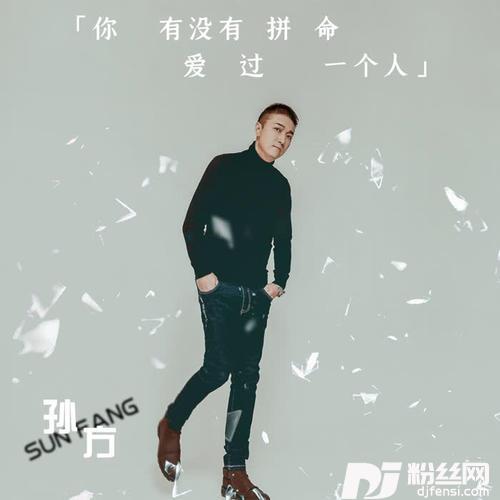 你有没有拼命爱过一个人DJ枫叶版