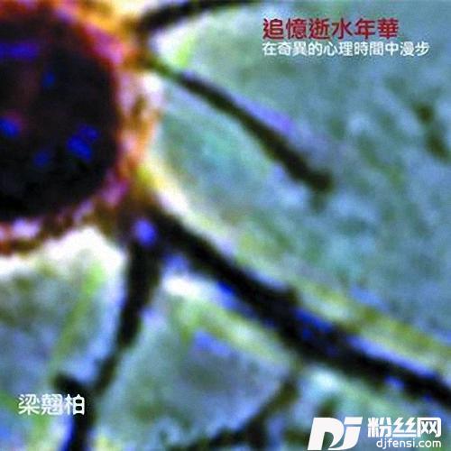 诗人回忆录的专辑