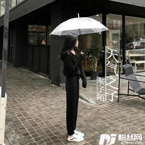 粤语啤酒猜码