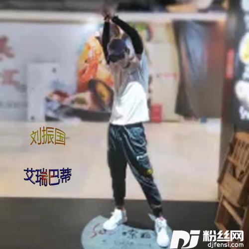 凤凰向南飞DJ版的专辑