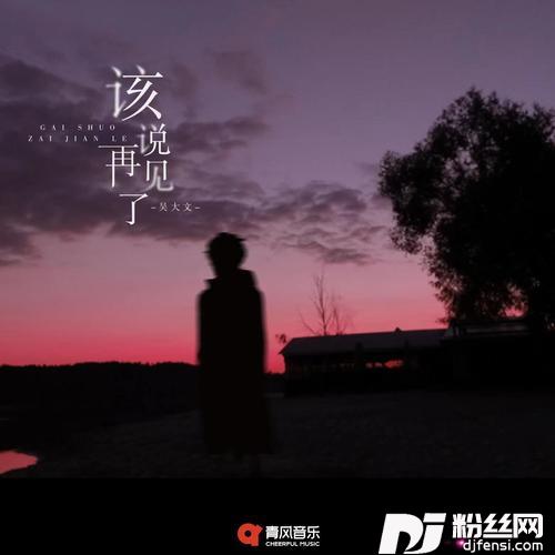 该说再见了的专辑