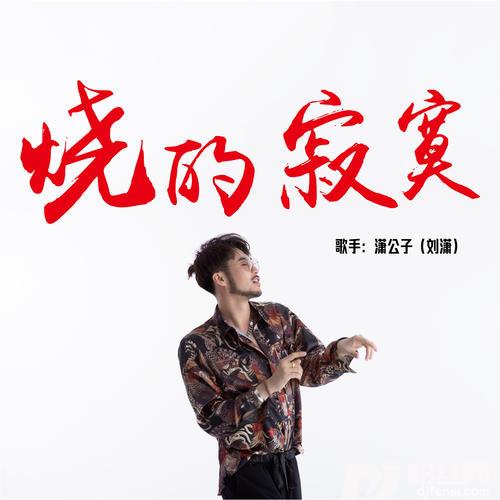 烧的寂寞DJheap九天版