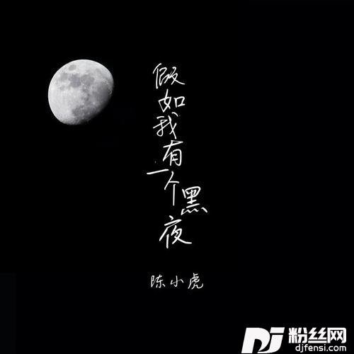 假如我有一个黑夜的专辑
