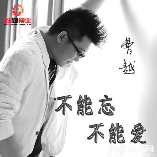 不能忘不能爱的专辑