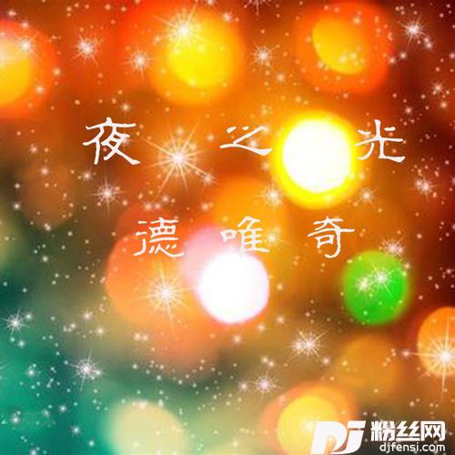 夜之光花姐dj版