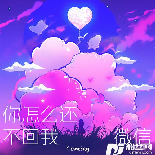 你怎么还不回我微信的专辑