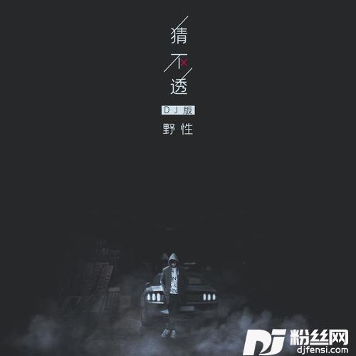 猜不透DJ版