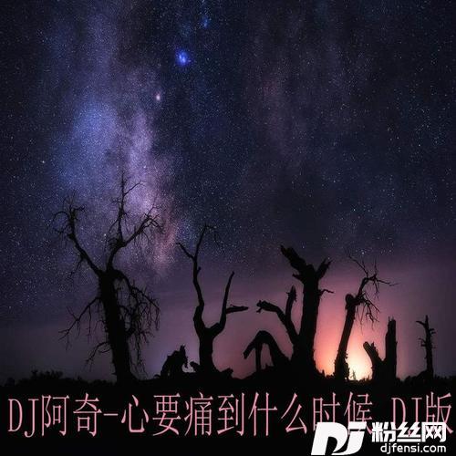 心要痛到什么时候DJ版