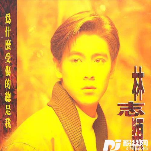 为什么受伤的总是我的专辑