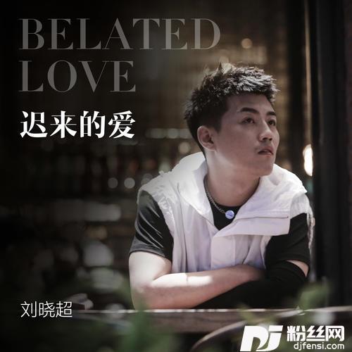 迟来的爱的专辑