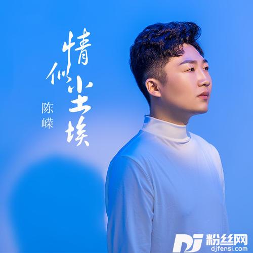 情似尘埃DJ名龙版