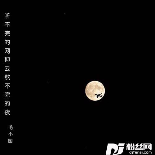 爱你没错DJ抖音版