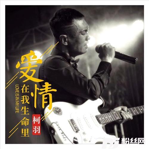 爱情在我生命里