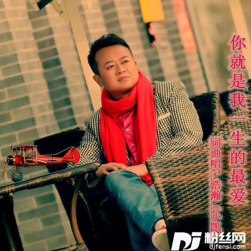 你就是我一生的最爱