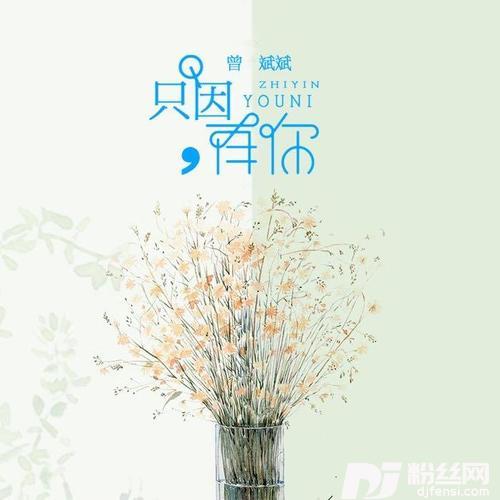 只因有你