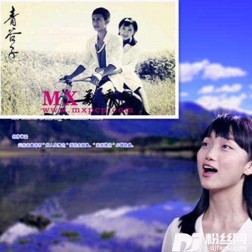 青谷子的专辑