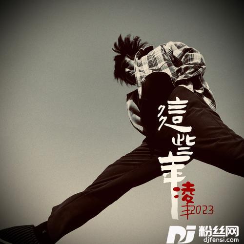 这些年的专辑