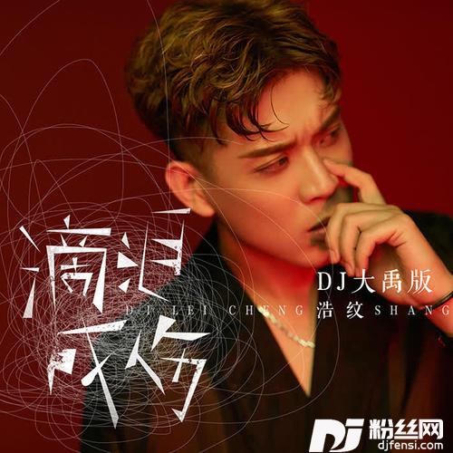 滴泪成伤DJ大禹版