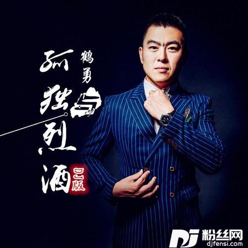 孤独与烈酒DJ阳少Remix版的专辑