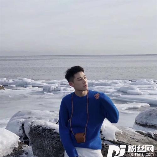 开始懂了抖音版的专辑