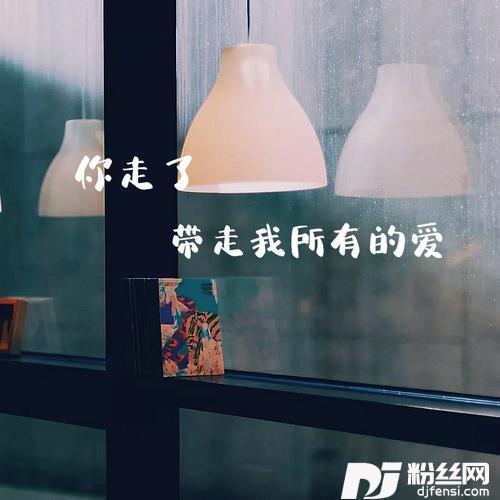 你走了，带走我所有的爱（DJ版）