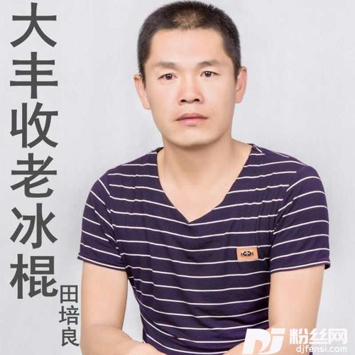 大丰收老冰棍的专辑
