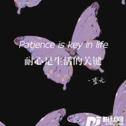 Patience is key in life耐心是生活的关键的专辑