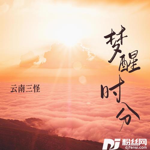 梦醒时分