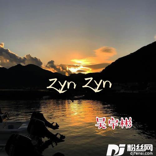 ZynZyn抖音版