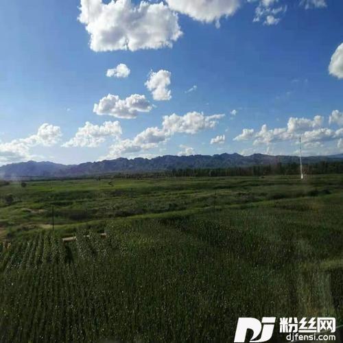 我的眼泪你不在乎DJ快四广场舞版