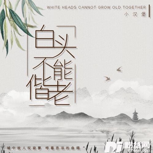 白头不能偕老DJ隆隆版