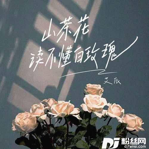 山茶花读不懂白玫瑰温柔男声版