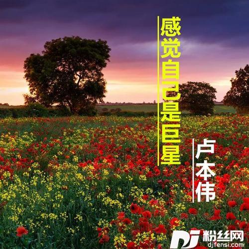 我多喜欢你，你会知道