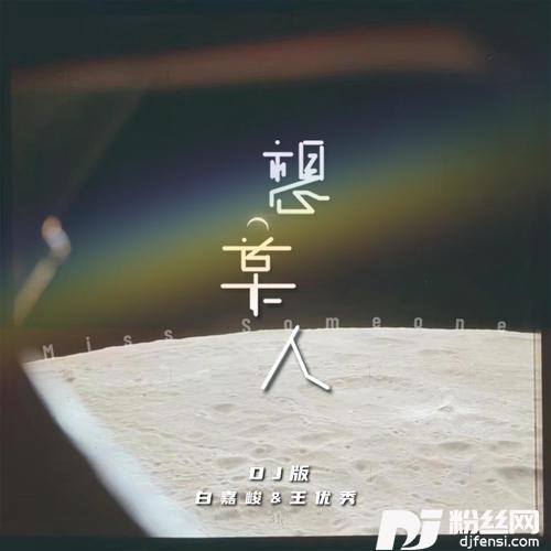 想某人DJ版的专辑