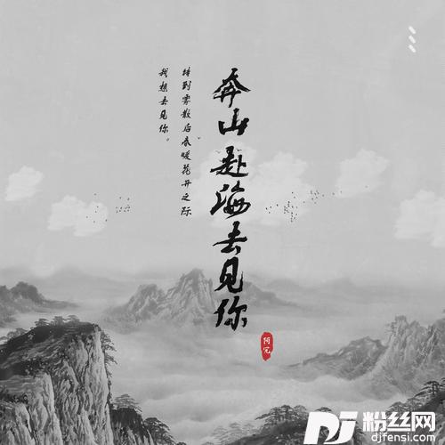 奔山赴海去见你（DJ沈念版）